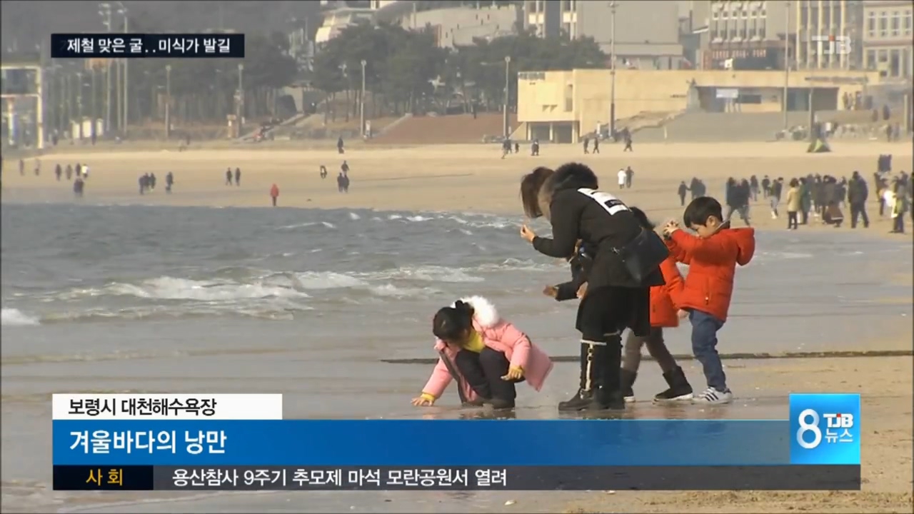 [0120 TJB 8시뉴스] 확 풀린 주말.. 대천 겨울바다 활기 넘쳐